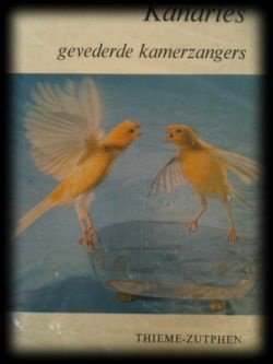 Kanaries, gevederde kamerzangers, K.Speicher - 1