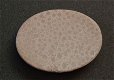 #100 Cabochon Fossiel Koraal Fossil Coral Cabochon - 1 - Thumbnail