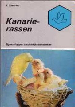 Kanarierassen, K.Speicher, - 1