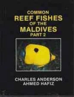 Common reef fishes of the Malives part 2 - 1