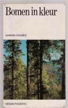 Bomen in kleur, Sandra Holmes - 1
