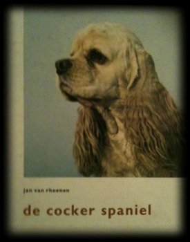 De Cocker Spaniel, Jan Van Rheenen - 1