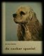 De Cocker Spaniel, Jan Van Rheenen - 1 - Thumbnail