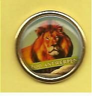 leeuw zoo antwerpen pin    (BL2-095)