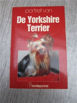 Portret van de Yorkshire Terrier. - 1