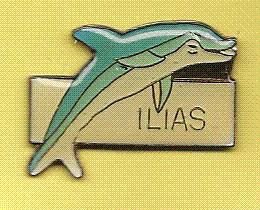 dolfijn ilias pin (BL4-163) - 1