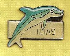 dolfijn ilias pin (BL4-163)