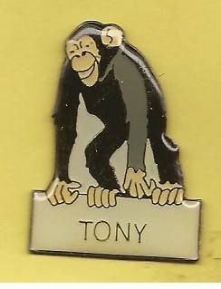 aap tony pin (BL4-167) - 1