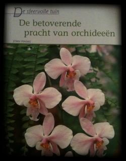 De betoverende pracht van orchideeën, Jorn Pinske - 1