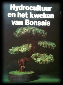 Hydrocultuur en het kweken van bonsais - 1