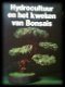Hydrocultuur en het kweken van bonsais - 1 - Thumbnail