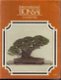 International bonsai - 1 - Thumbnail