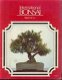 International bonsai, 1982 nr. 2 - 1 - Thumbnail