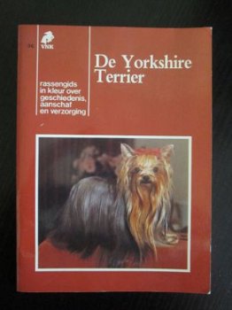 De Yorkshire Terrier. VNK. - 1