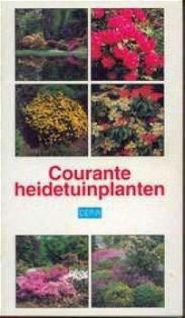 Courante heidetuinplanten - 1