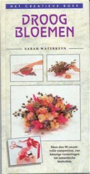 Droogbloemen, het kreatieve boek, door sarah waterkeyn - 1