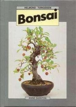 Bonsai, Anne Swinton - 1