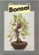 Bonsai, Anne Swinton - 1 - Thumbnail