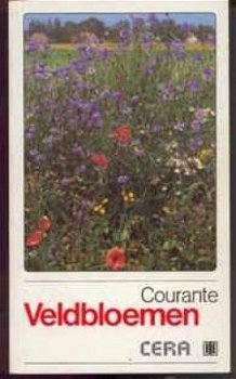 Courante veldbloemen - 1