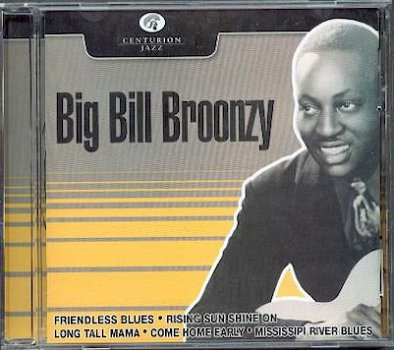 cd - Big Bill BROONZY - Friendless Blues - (new) - 1