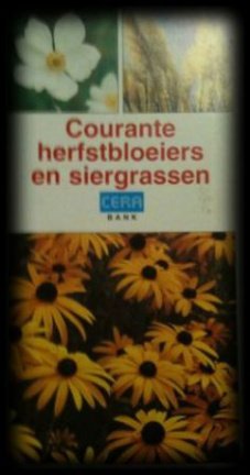 Courante herfstbloeiers en siergassen, Cera