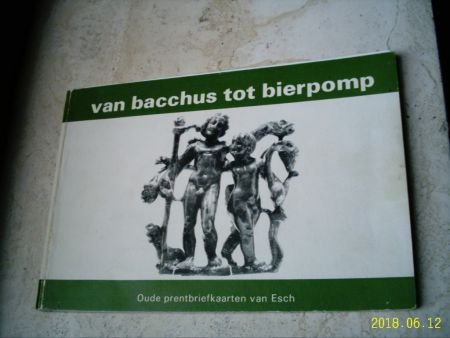 Oude prentbriefkaarten van Esch. - 1