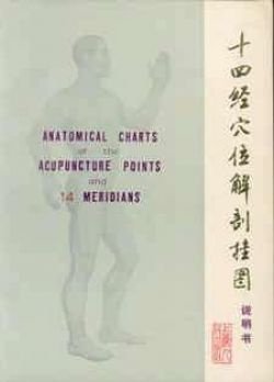 Anatomical charts of the acupuncture points and 14 meridians - 1