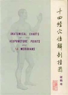 Anatomical charts of the acupuncture points and 14 meridians