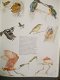 De wereld van de vogels Thieme Chr. Perrins Ad Cameron - 1 - Thumbnail
