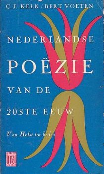 Nederlandse po�zie van de 20ste eeuw (Van Holst tot heden) - 1