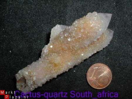 Amethist cactus-quartz Zuid-africa klein - 1