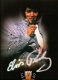 Elvis the Concert Tour book 2005 - 1 - Thumbnail
