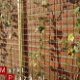 BETONMATTEN TUIN 2X5M €19,99 - 1 - Thumbnail