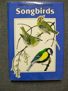 Songbirds Hamlyn by Karel Stastny Illustrated by Petr Rob - 1