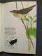 Songbirds Hamlyn by Karel Stastny Illustrated by Petr Rob - 1 - Thumbnail
