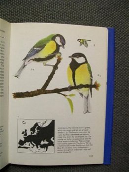 Songbirds Hamlyn by Karel Stastny Illustrated by Petr Rob - 1
