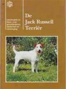 De Jack Russell Terriër