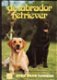 De labrador retriever - 1 - Thumbnail