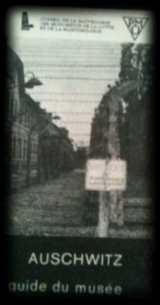 Auschwitz, guide du musée,