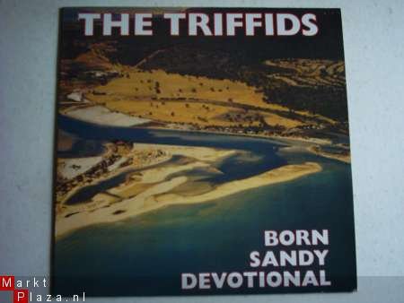 The Triffids: Born sandy devotional - 1