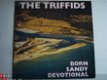 The Triffids: Born sandy devotional - 1 - Thumbnail