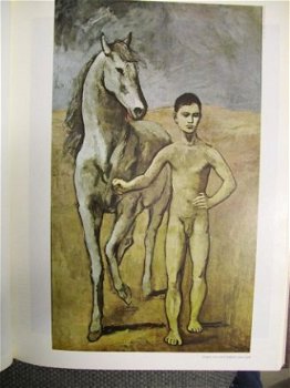 De wereld van Picasso 1881-1973 Lael Wertenbaker - 1