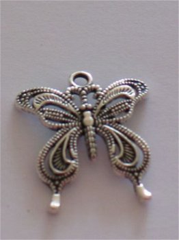 silver vlinder 11 - 1