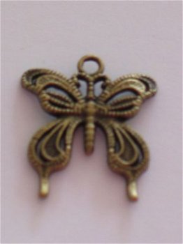bronze vlinder 1 - 1