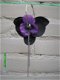 aparta bloemoorbel zwart met paars - 1 - Thumbnail