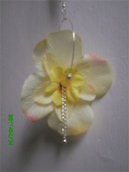 zacht geel gtst bloemoorbel - 1