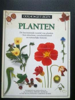 Planten - 1