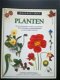 Planten - 1 - Thumbnail