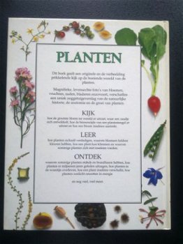 Planten - 1