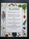 Planten - 1 - Thumbnail